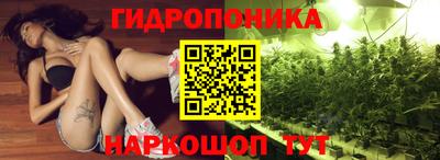 мяу мяу мука Будённовск