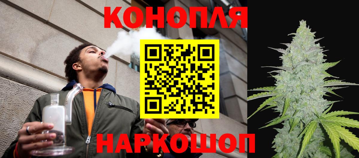 Шишки марихуана семена Новозыбков